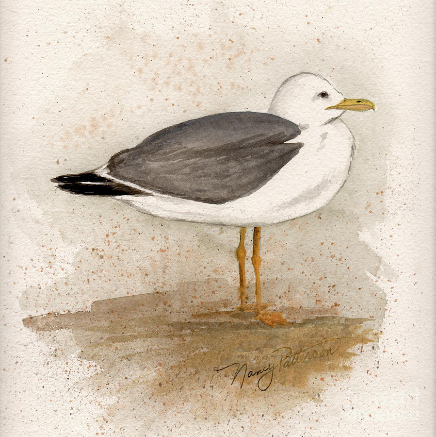Gull Painting by Nancy Patterson