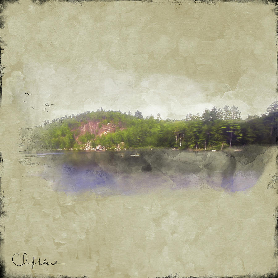 Gull Pond by Christopher Meade Gull Pond by Christopher Meade
