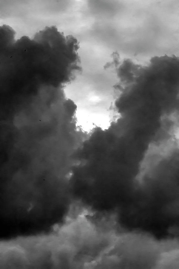 Gulls and Clouds Photograph by Robert Ullmann