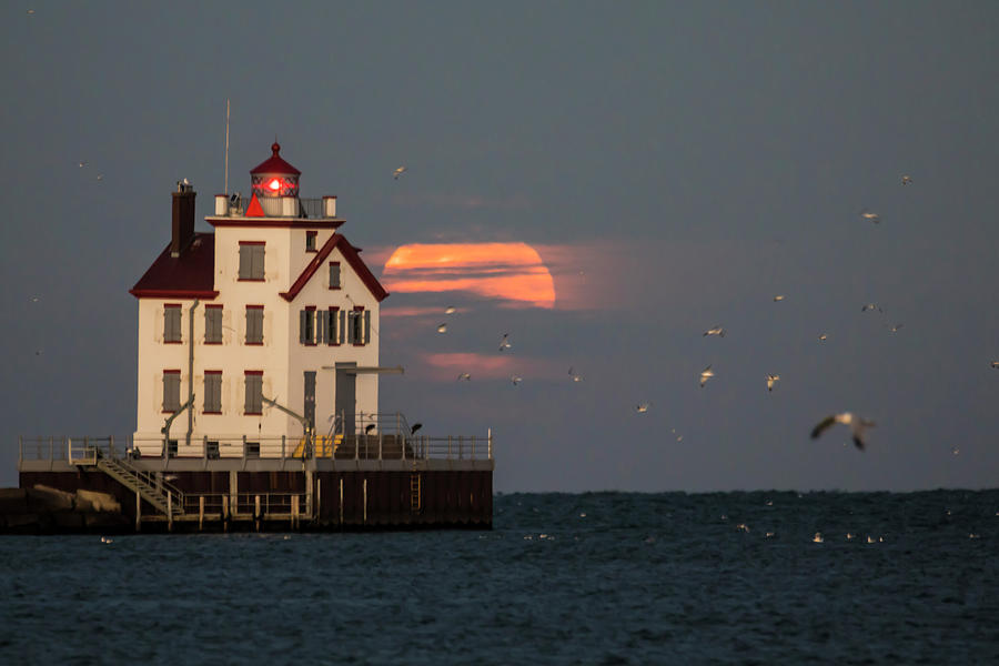 Lighthouse Photograph - Gulls and Moon by the Lighthouse by Frank Shoemaker