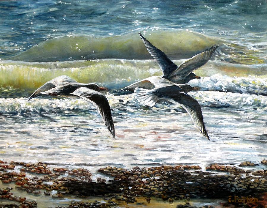 Gulls At Pebble Beach, Rockport, MA Painting by Eileen Patten Oliver