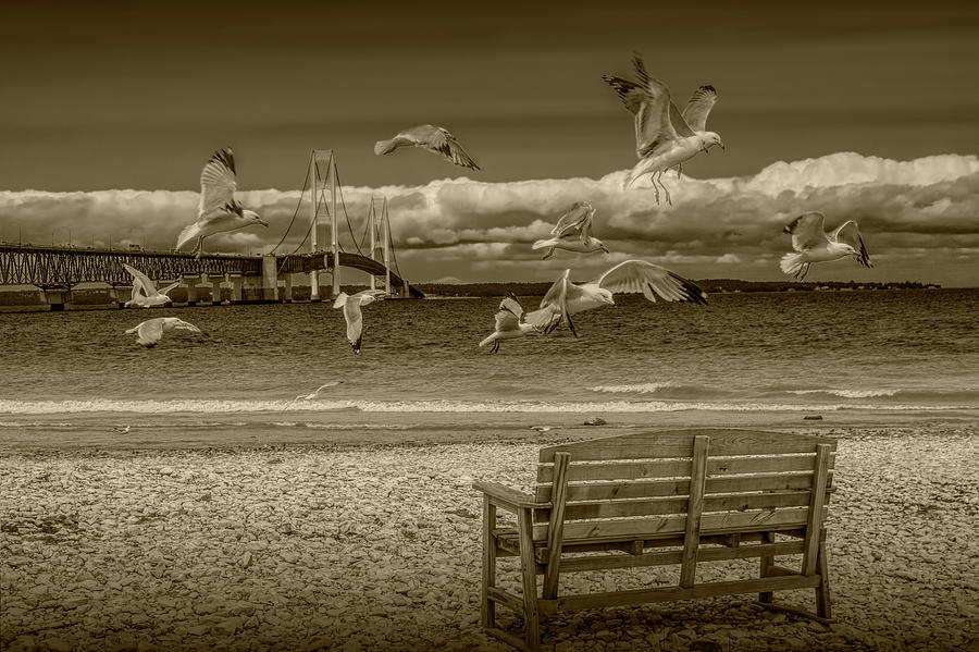 Gulls Flying by the Mackinac Bridge in Sepia Tone Photograph by Randall Nyhof