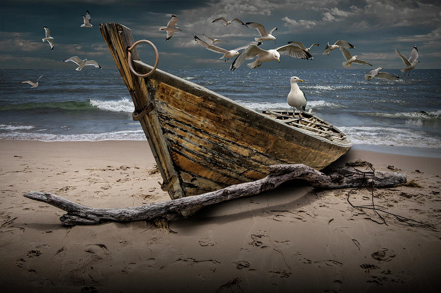 Gulls Flying Over A Shipwrecked Wooden Boat On The Beach Photograph