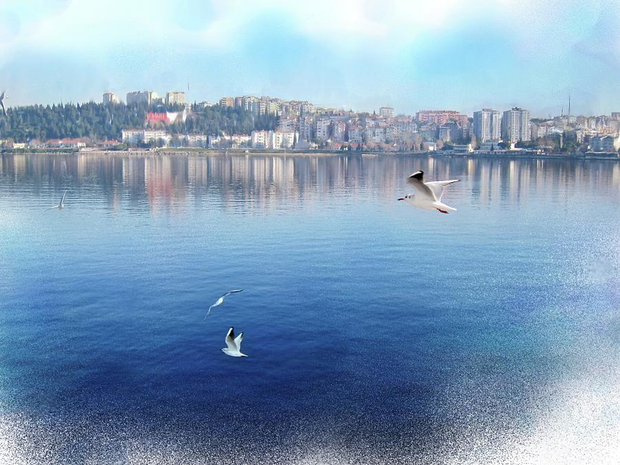 Gulls on the Aegean Digital Art by Gina Harrison