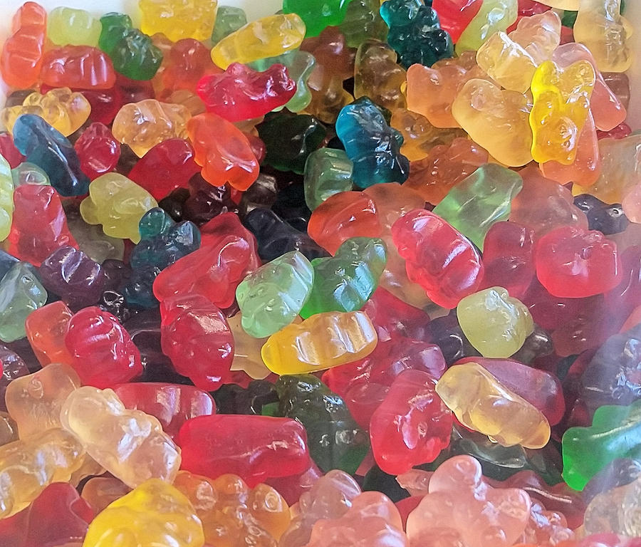 Gummy Bears Photograph by Robert Banach