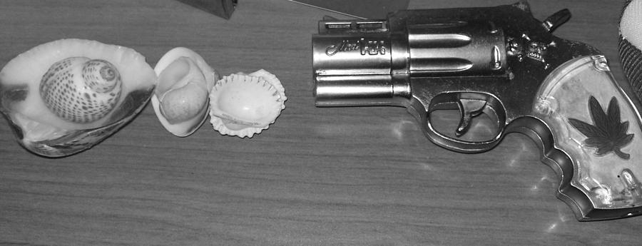 Gun And Shells And Such Photograph