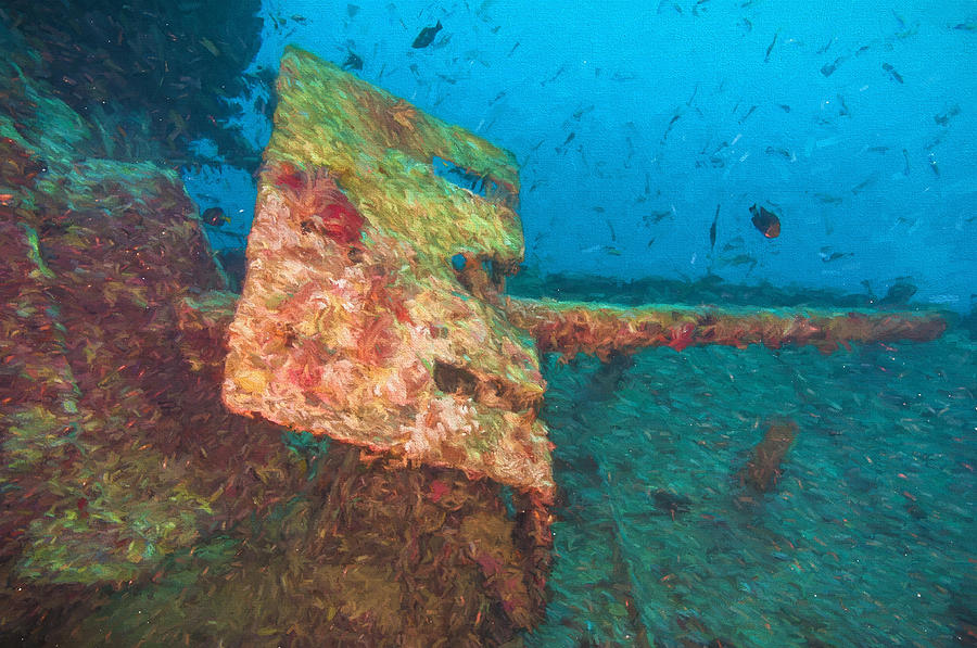Gun on a Shipwreck 2 Digital Art by Roy Pedersen