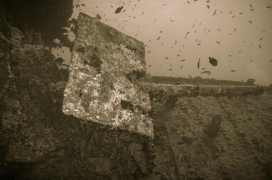 Gun on a Shipwreck Photograph by Roy Pedersen