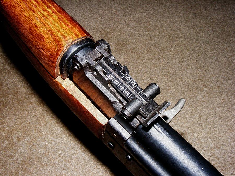 Gun - SKS - Close-up Photograph by Anastasiya Malakhova