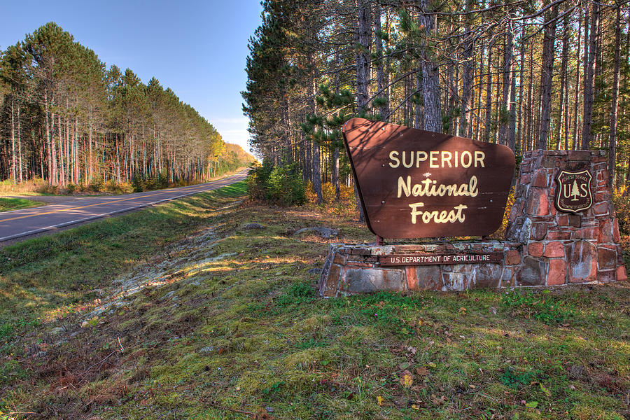 Gunflint Trail Photograph by Shane Mossman