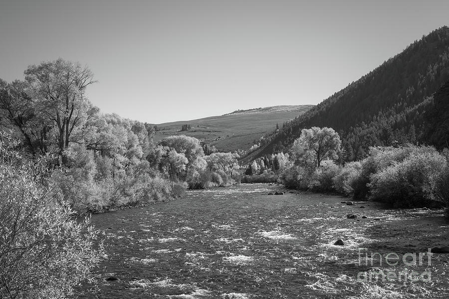 Mountain Photograph - Gunnison River in Autumn BW by Michael Ver Sprill