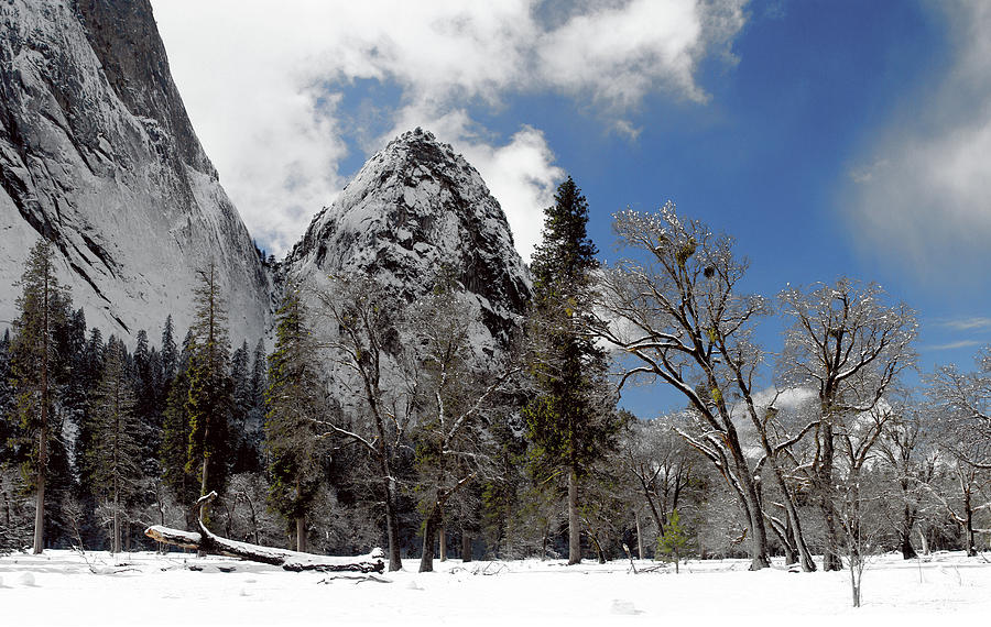 Gunsight Yosemite Valley California Landscape Art Photograph by Larry Darnell