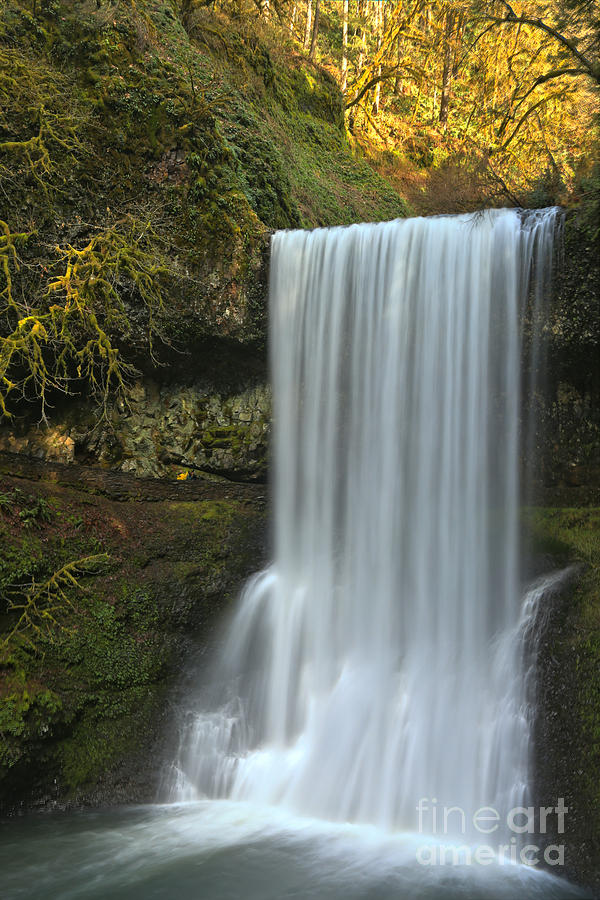 Waterfall Photograph - Gushing At Silver Falls by Adam Jewell