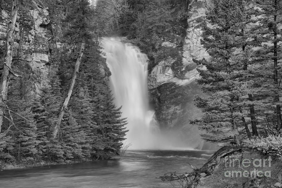 Gushing In The Spring At Trick Falls Black And White Photograph by Adam Jewell