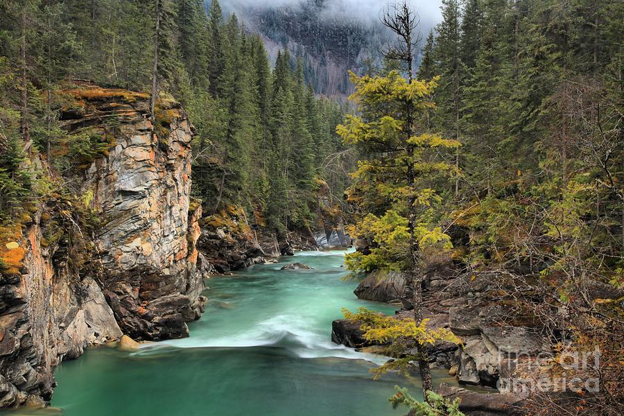 Gushing Through British Columbia Photograph by Adam Jewell