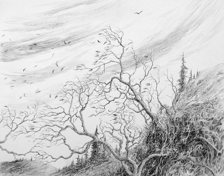 Tree Drawing - Gust by Steve Mountz