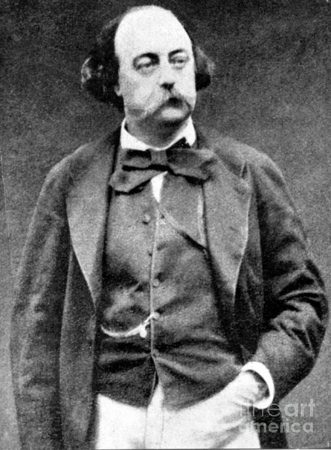 Gustave Flaubert, French Author Photograph by Science Source