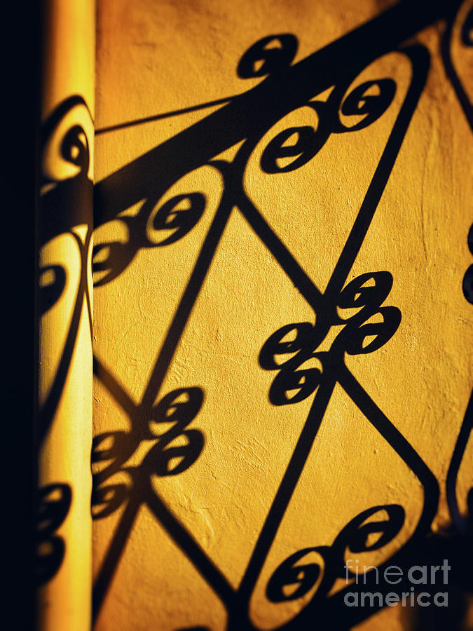 Gutter and ornate shadows Photograph by Silvia Ganora