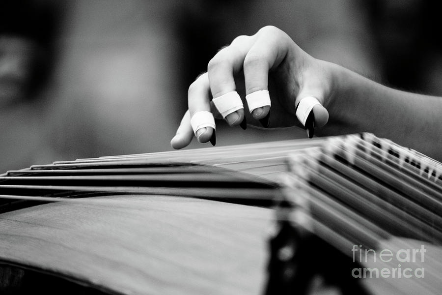 Music Photograph - Guzheng by Kim Vetten