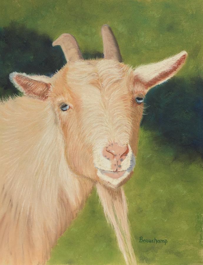 Gwens Goat Pastel by Nancy Beauchamp