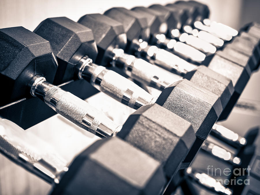 Club Photograph - Gym Dumbbell Free Weights Rack by Paul Velgos