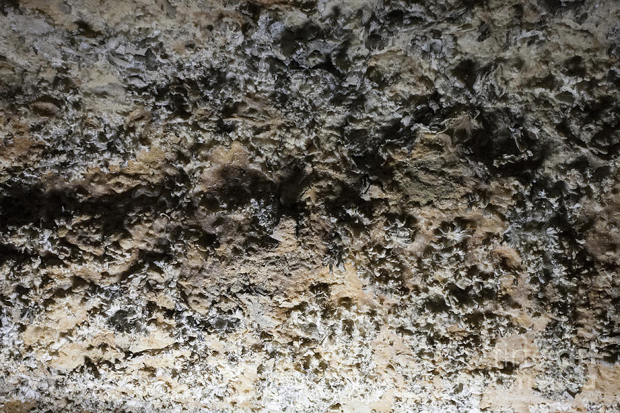 Gypsum formations Mammoth Cave National Park Photograph by Jason O ...