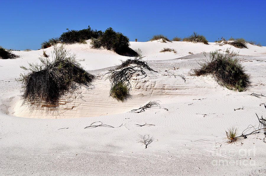 Gypsum sand dune in White Sands National Monument Photograph by ...