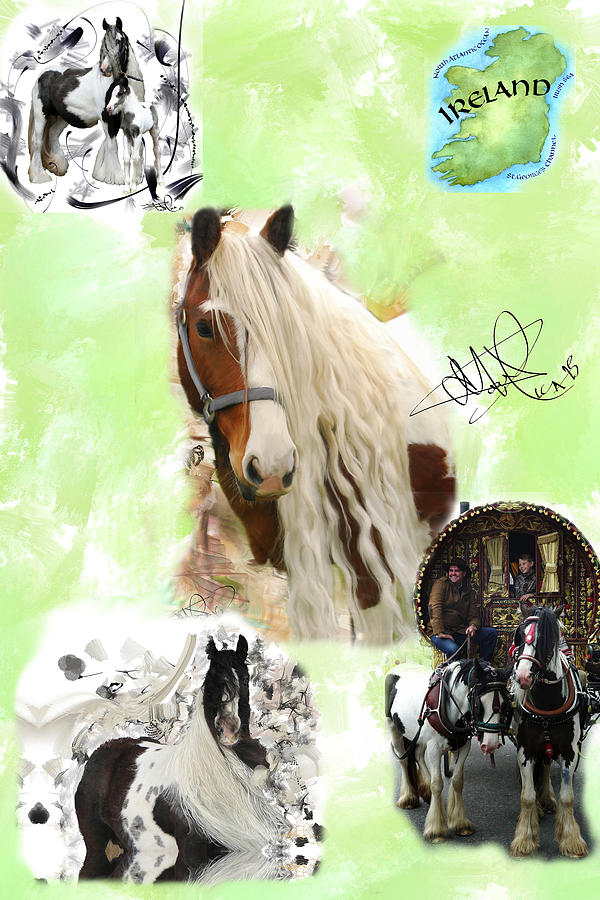 Horse Digital Art - Gypsy Vanner Collage by Donald Pavlica
