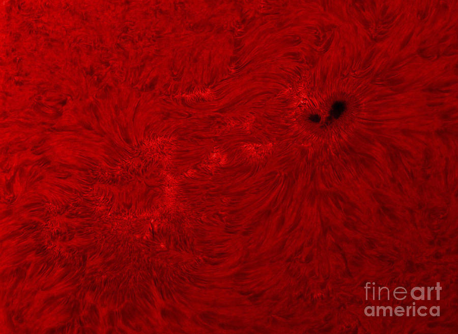 H-alpha Sun In Red With Sunspot Photograph by Rolf Geissinger