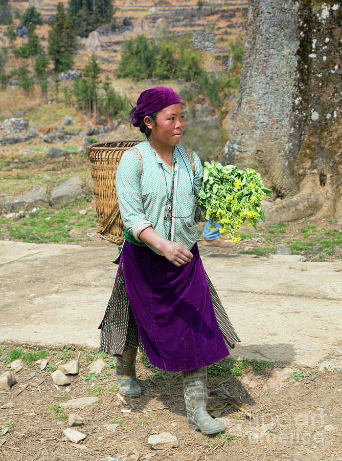Ha Giang woman flowers  Photograph by Chuck Kuhn