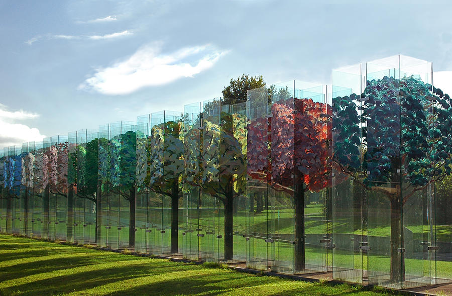 Haaksbergens The Glass Forest Photograph by Ginger Wakem