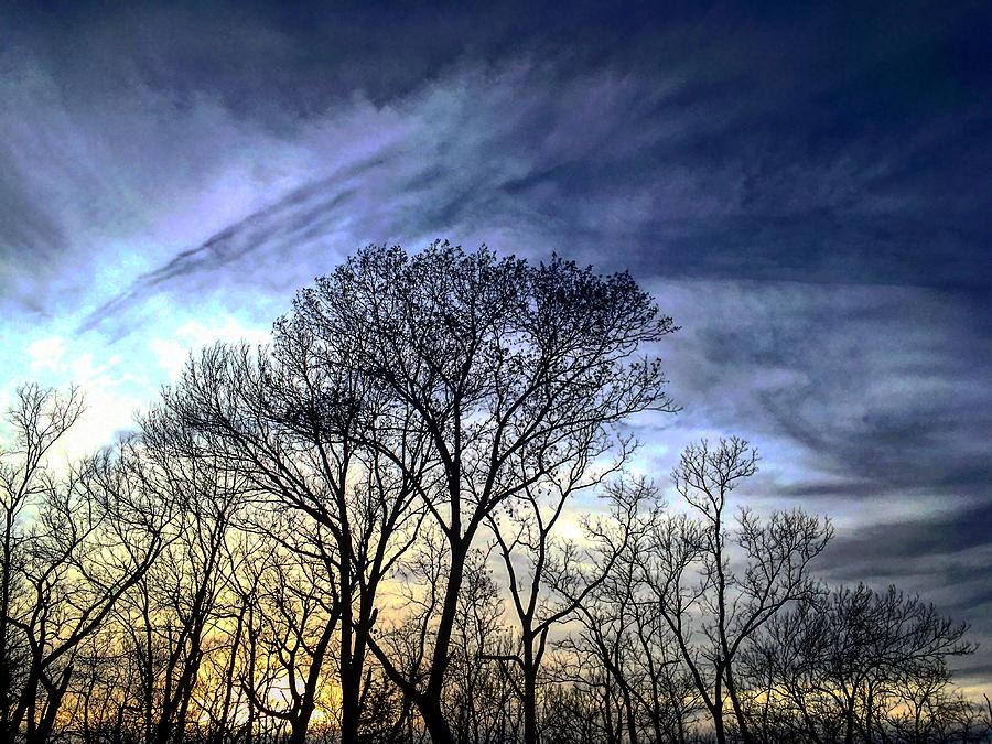 Haarp Sunset parallels the trees Photograph by Michael Oceanofwisdom Bidwell