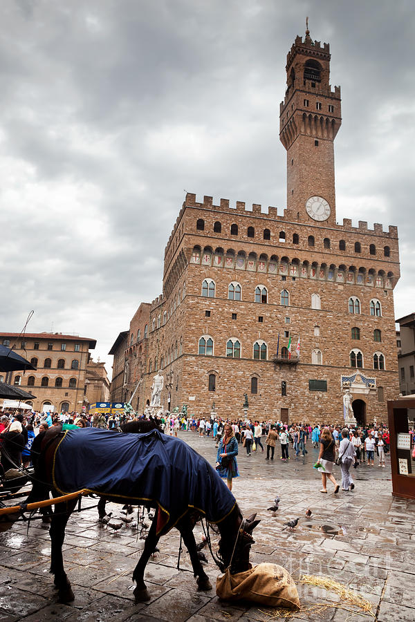 Hackney coachs horse having a break from tourists next to Palazzo Vecchio in Florence, Italy Photograph by Michal Bednarek
