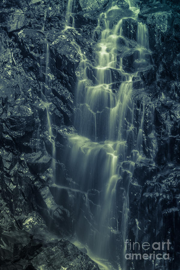 Waterfall Photograph - Hadlock Falls in Acadia National Park - Monochrome by Claudia M Photography