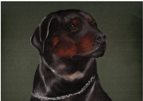 Hagar Pastel - Hagar by Vicki Thompson Hagar Pastel - Hagar by Vicki Thompson