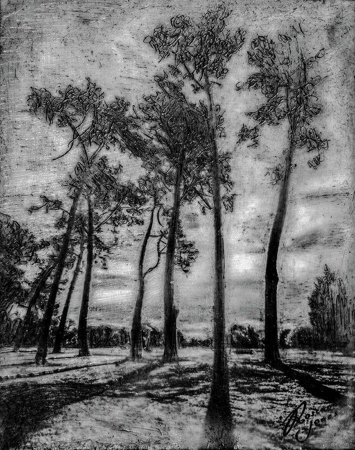 Hagley Park Treescape Mixed Media by Roseanne Jones