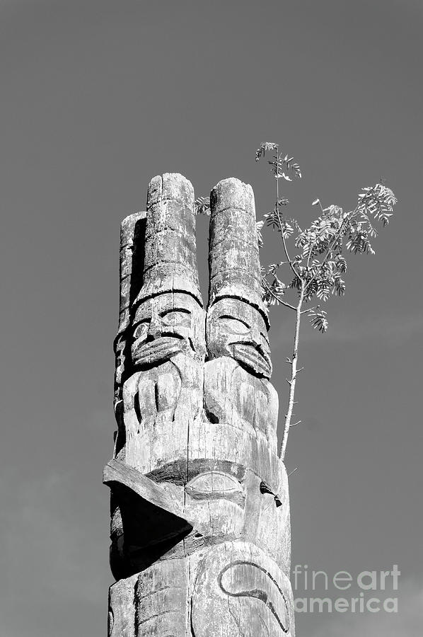 Haida Watchmen Photograph by John  Mitchell