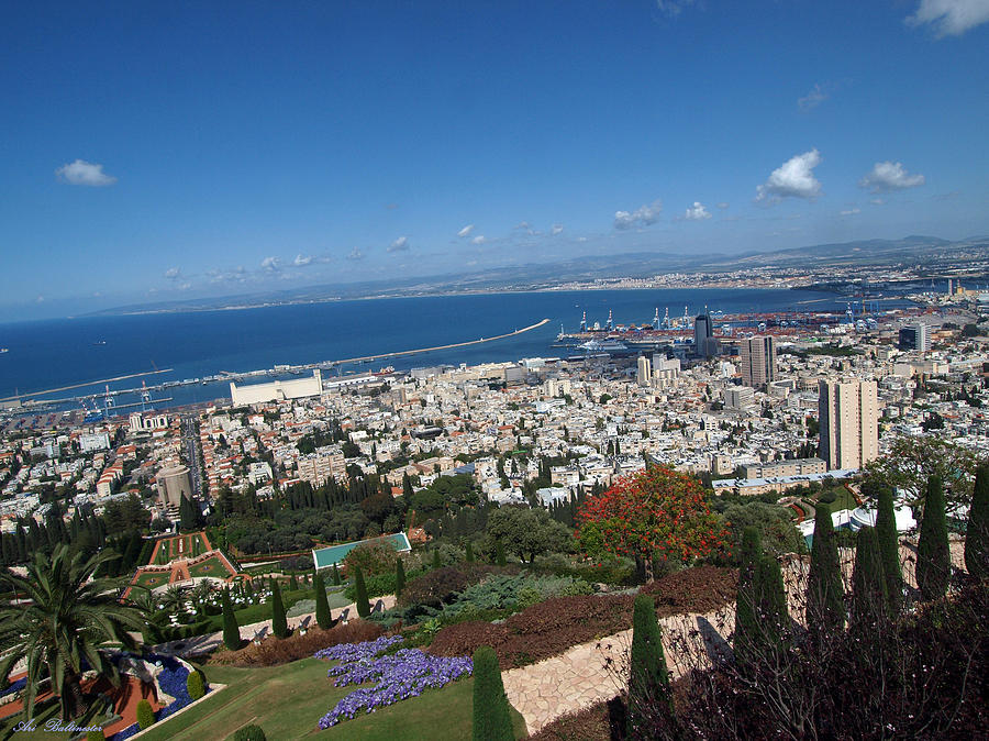 Haifa bay Photograph by Arik Baltinester