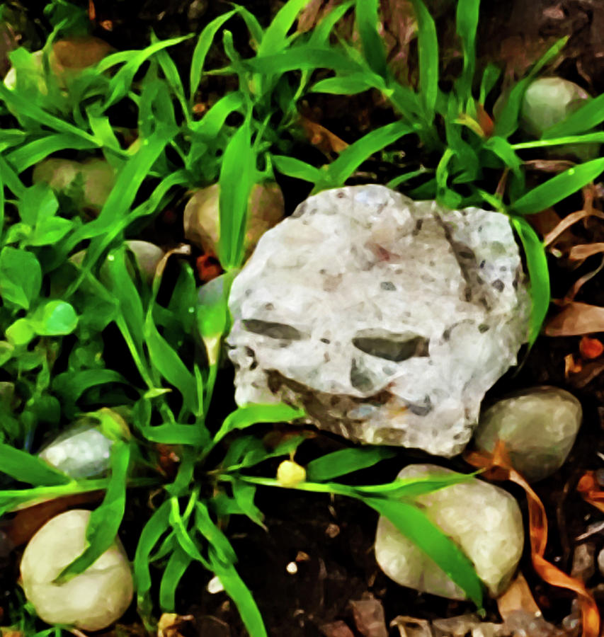 Haight Ashbury Smiling Rock Photograph