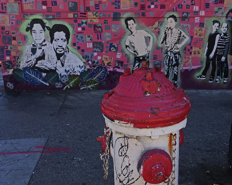 Haight Street Fire Hydrant San Francisco Photograph by Toby McGuire