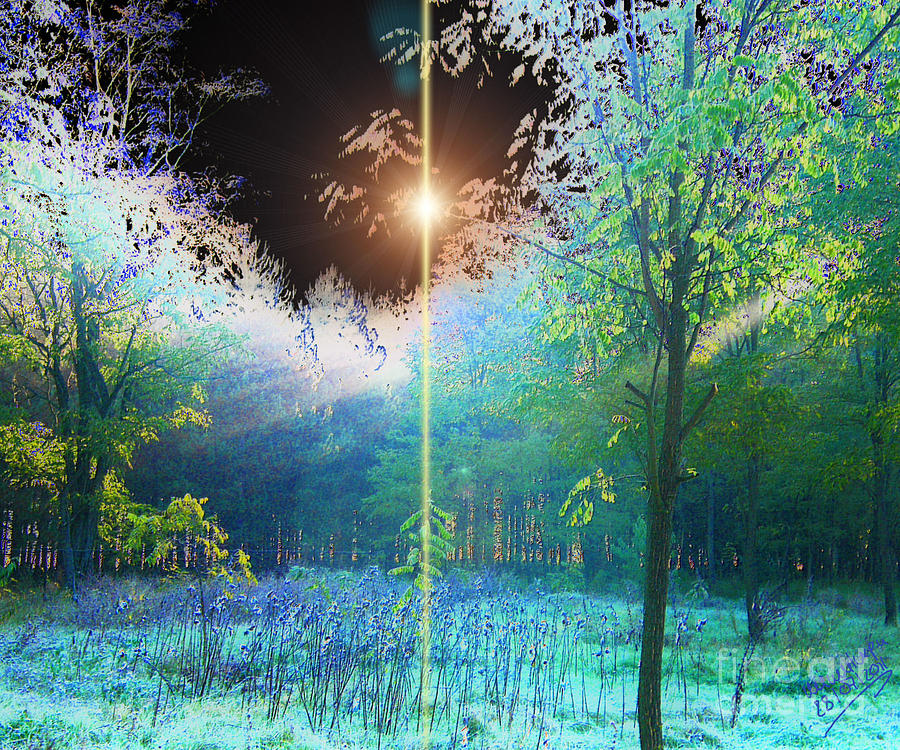 Hain der Weisen - Copse of the Wise Digital Art by Mimulux Patricia No