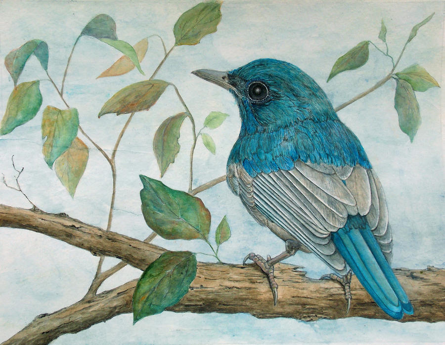 Hainan blue flycatcher Painting by Sandy Clift