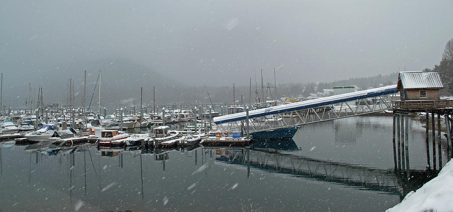Haines Harbor Photograph by Cathy Mahnke