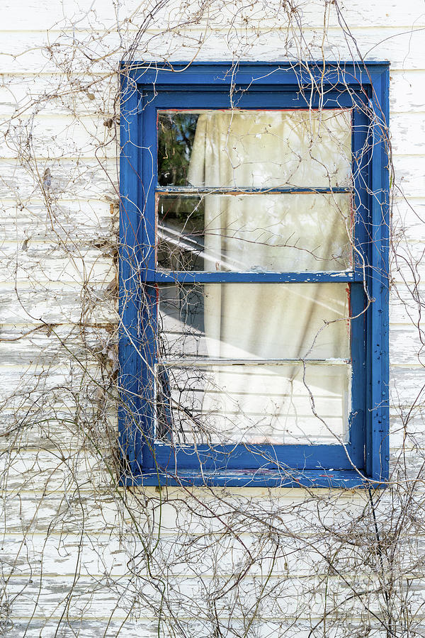 Haint Blue Gullah Window, St. Helena Island, South Carolina  by Dawna Moore Photography
