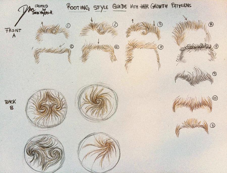Hair growth patterns for rooting Drawing by Doris Moyers H - Fine Art  America