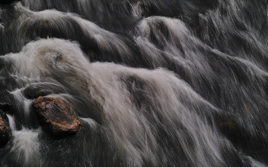 Hairy River Photograph by Pekka Sammallahti