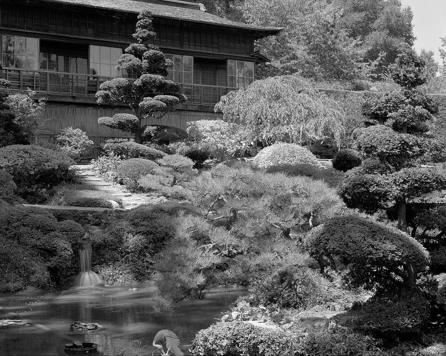 Hakone Gardens Traditional Japanese Garden Saratoga California Photograph by Kathy Anselmo