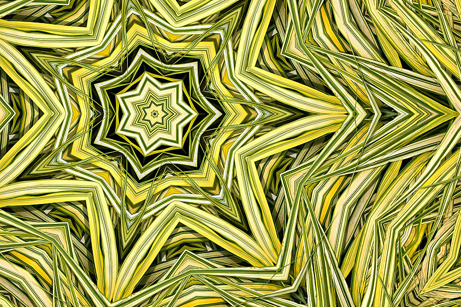 Hakone Grass Kaleido Digital Art by Peter J Sucy