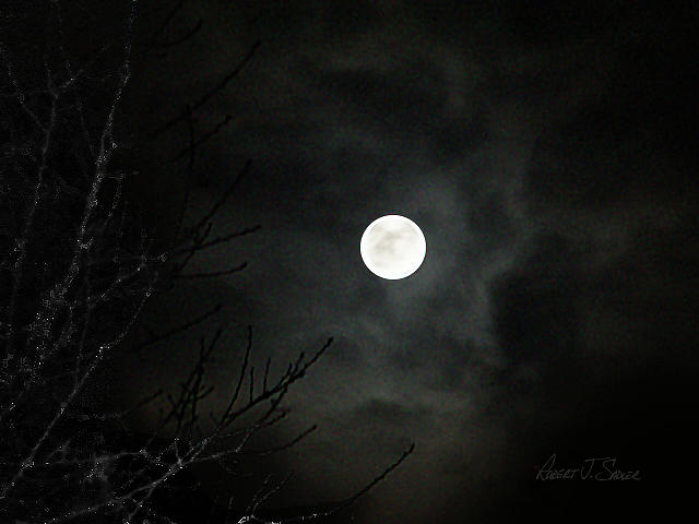 Howl-O-Ween Moon 2  Photograph by Robert J Sadler