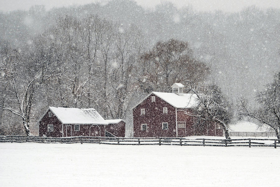 Hale Farm in Winter Photograph by Ann Bridges